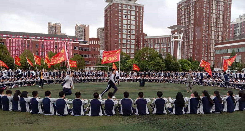 拓展动力圈2.png